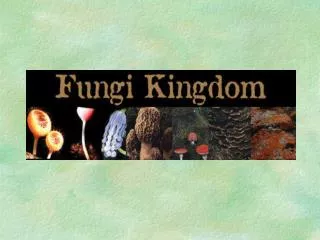 Kingdom Fungi-Introduction