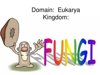 Domain: Eukarya Kingdom: