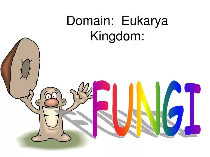 domain eukarya kingdom