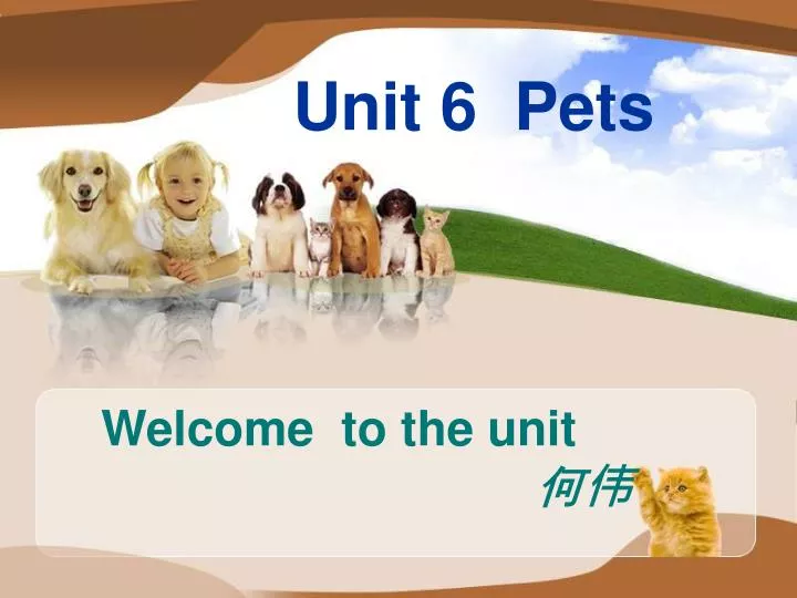 unit 6 pets