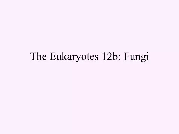 the eukaryotes 12b fungi