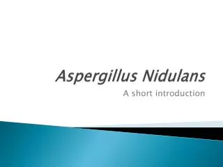 Aspergillus Nidulans