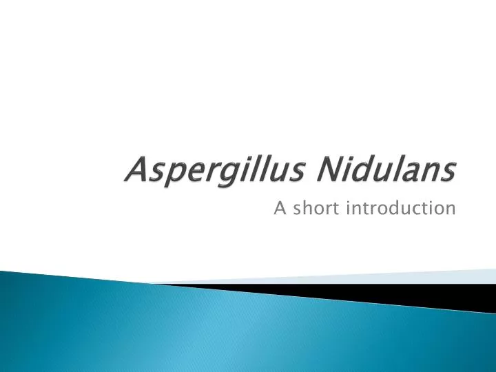 aspergillus nidulans