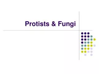 Protists &amp; Fungi