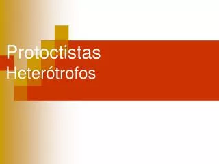 protoctistas heter trofos