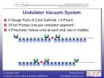 Undulator Vacuum System