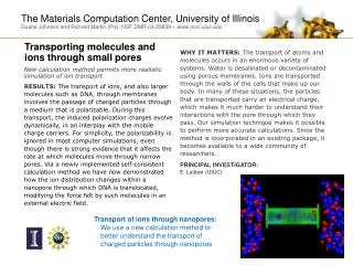 New calculation method permits more realistic simulation of ion transport