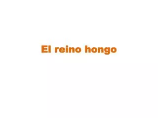el reino hongo