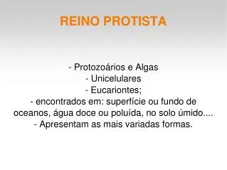 reino protista