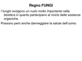 regno fungi