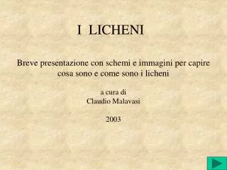 i licheni