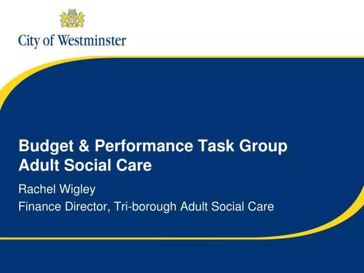 budget performance task group adult social care