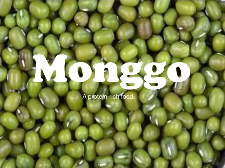 monggo