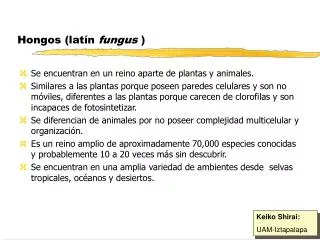 hongos lat n fungus