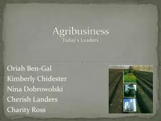 Agribusiness