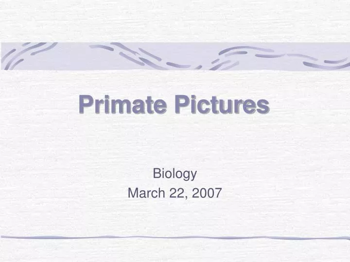 biology march 22 2007
