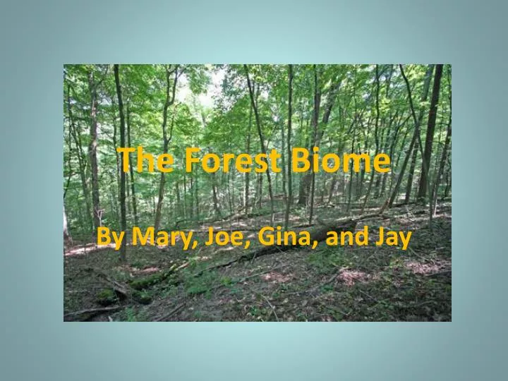 the forest biome