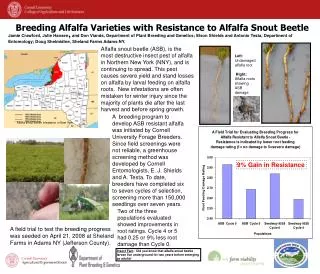 Breeding Alfalfa Varieties with Resistance to Alfalfa Snout Beetle