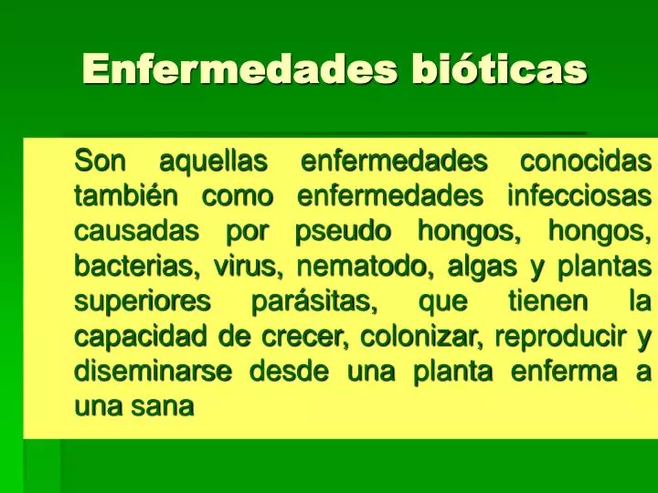 enfermedades bi ticas