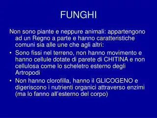 funghi