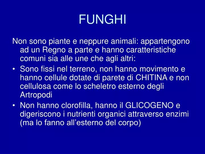 funghi