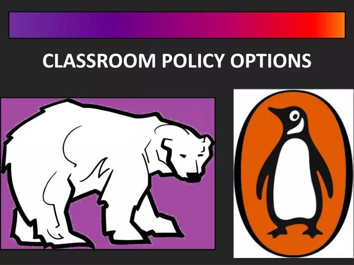 classroom policy options