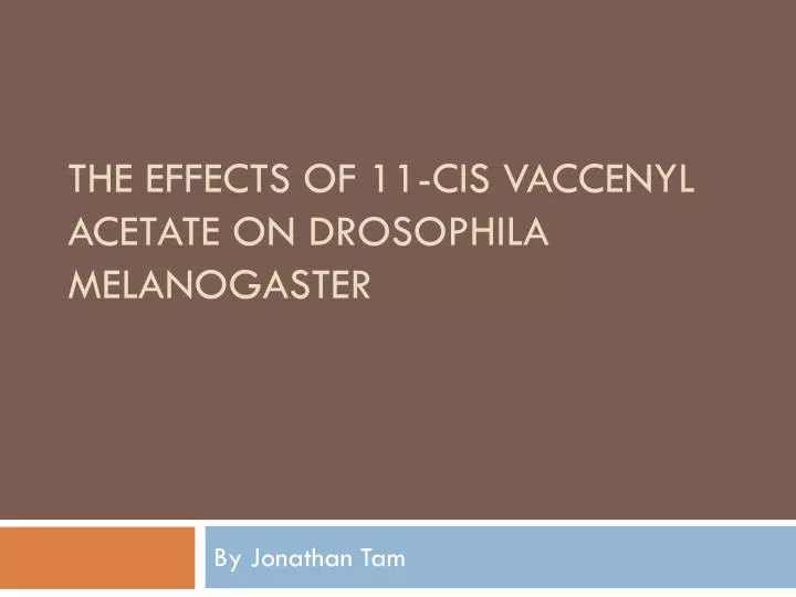 the effects of 11 cis vaccenyl acetate on drosophila melanogaster