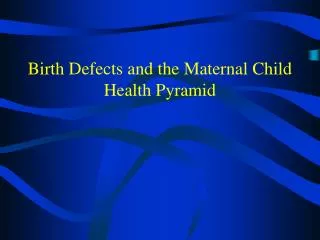 Birth Defects and the Maternal Child Health Pyramid