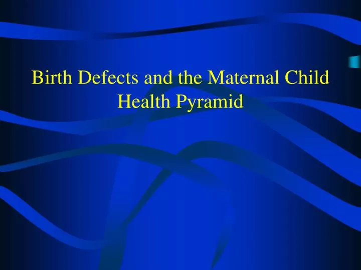 birth defects and the maternal child health pyramid