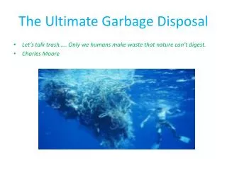 The Ultimate Garbage Disposal