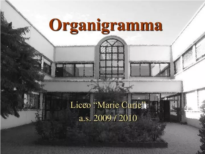 organigramma