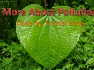 More About Pollution