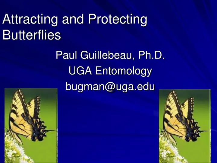 attracting and protecting butterflies