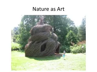 Nature as Art