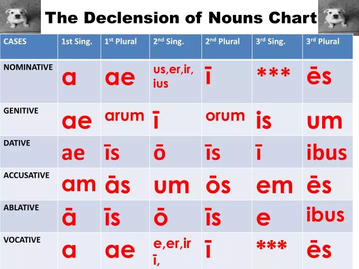 the declension of nouns chart