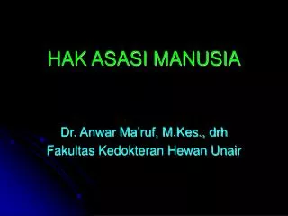 hak asasi manusia