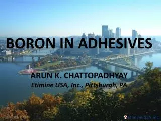 ARUN K. CHATTOPADHYAY Etimine USA, Inc., Pittsburgh, PA