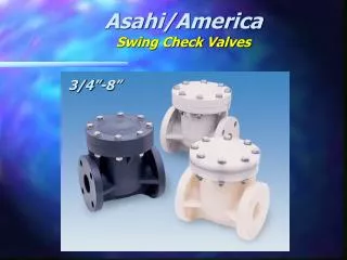 Asahi/America Swing Check Valves
