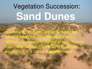 Vegetation Succession: Sand Dunes