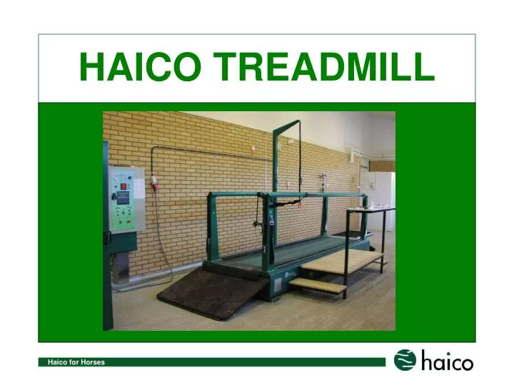 haico treadmill