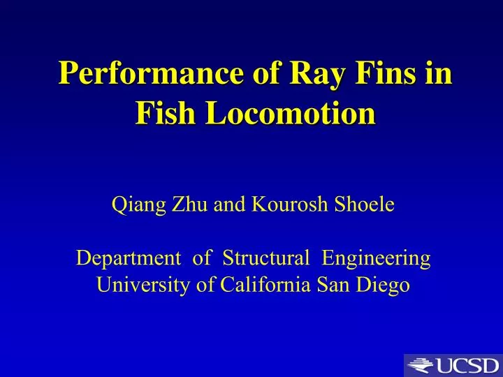 performance of ray fins in fish locomotion