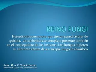 reino fungi