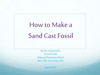 How to Make a Sand Cast Fossil