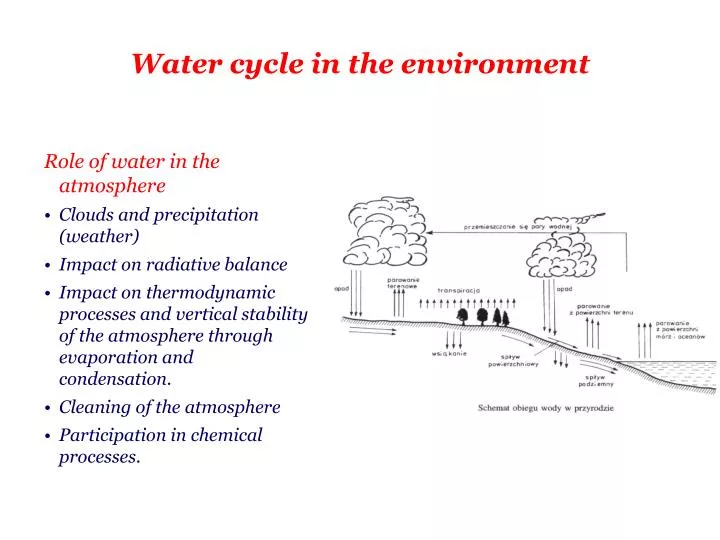 water cycle in the environment