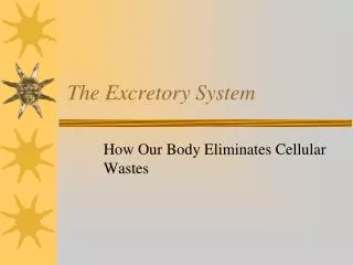 The Excretory System