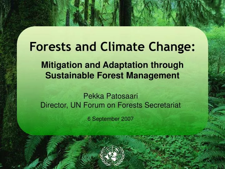 forests and climate change