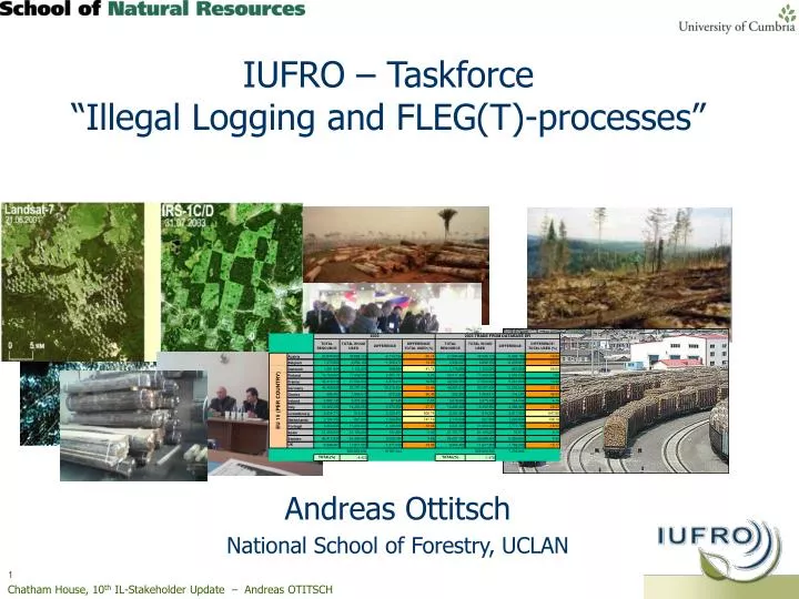 iufro taskforce illegal logging and fleg t processes