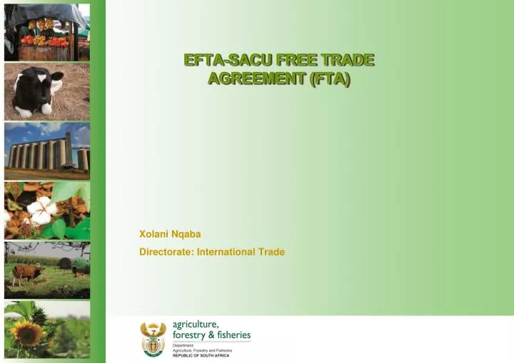 efta sacu free trade agreement fta