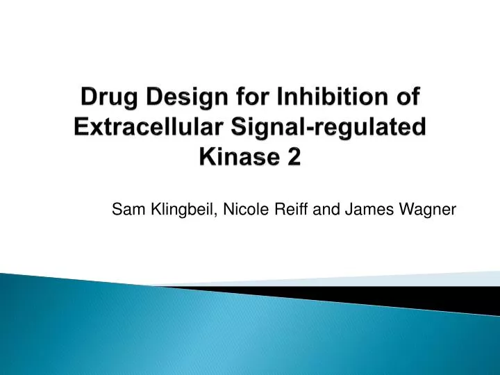 drug design for inhibition of extracellular signal regulated kinase 2