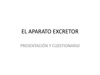 el aparato excretor